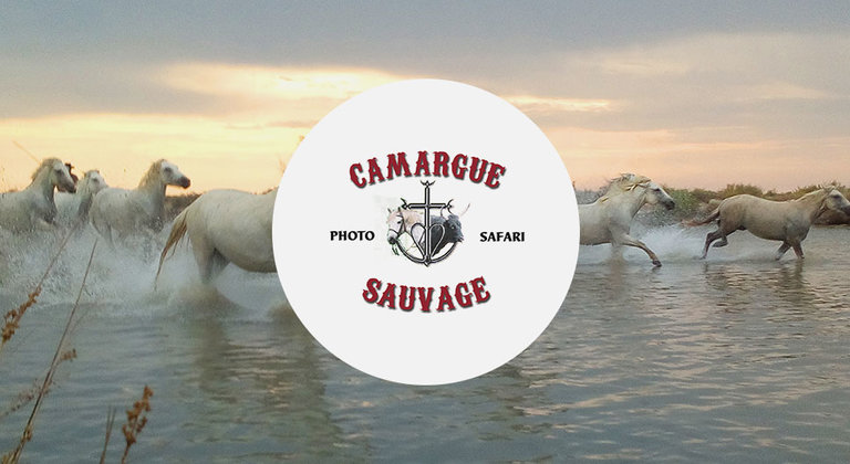 Camargue Sauvage