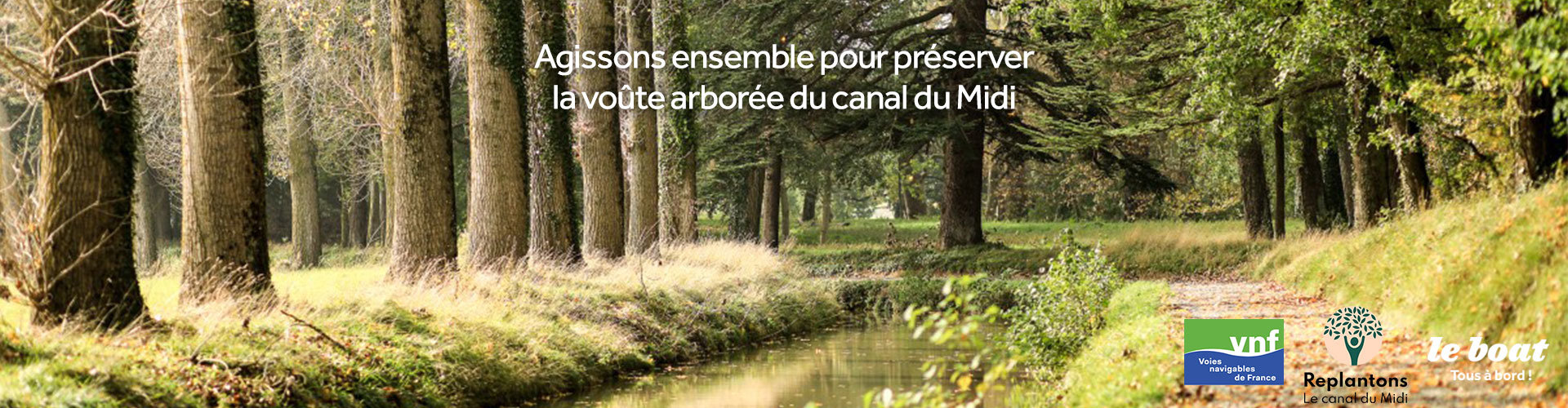 Agissons ensemble pour préserver la voûte arborée du canal du Midi