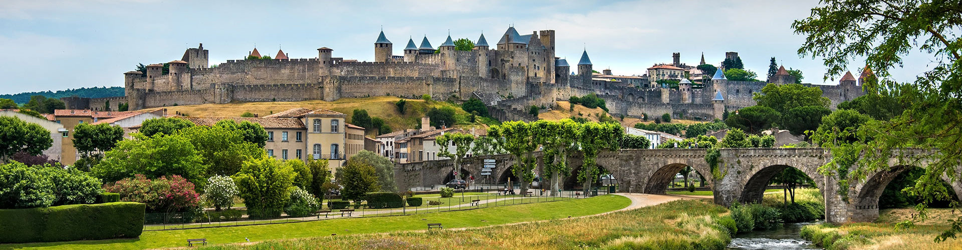 Vue de la Cité de Carcassonne